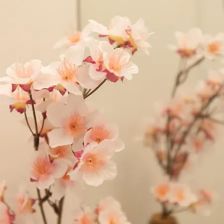 Monumental Garden Loft By Rent-a-key *