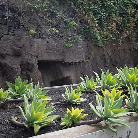 Monumental Garden Loft By Rent-a-key Daire Funchal