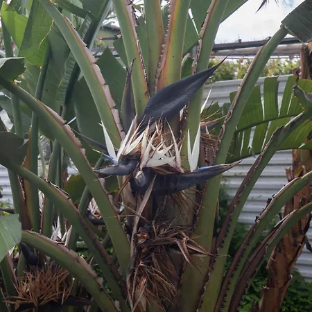 Monumental Garden Loft By Rent-a-key 公寓