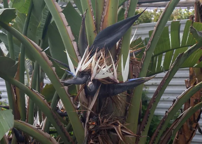 Monumental Garden Loft By Rent-a-key Apartamento