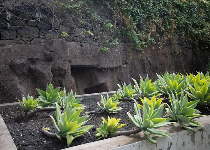 Monumental Garden Loft By Rent-a-key Apartamento Funchal (Madeira)